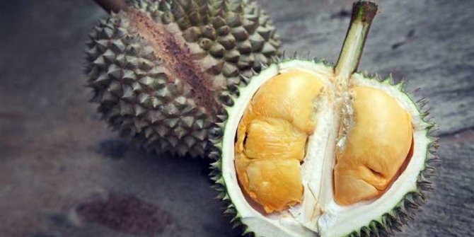 Makan selepas vaksin durian boleh Selamatkah makan