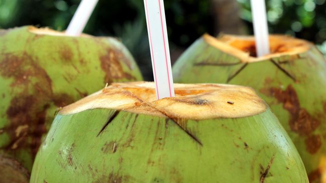 Vaksin minum kelapa lepas air TIPS SEBELUM